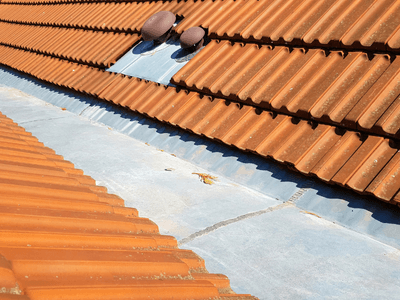 About Leaking Skylight Repair Pros Westville, IL